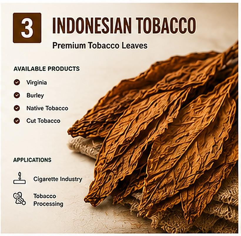 Indonesian Deli wrapper and filler tobacco leaf for export