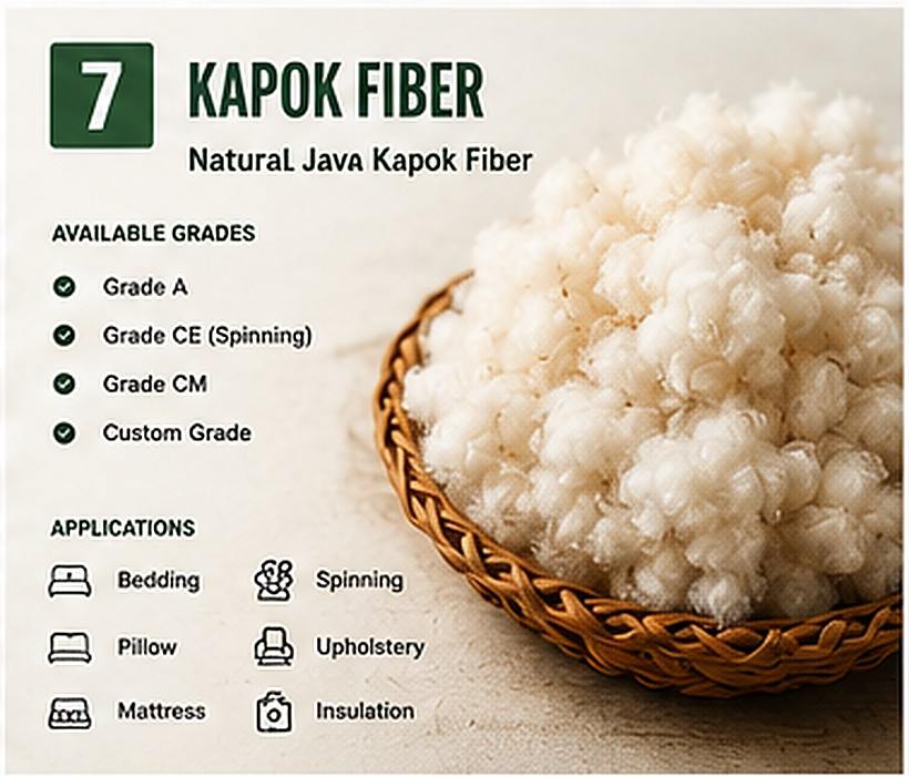Natural Java kapok fiber silk-cotton for export